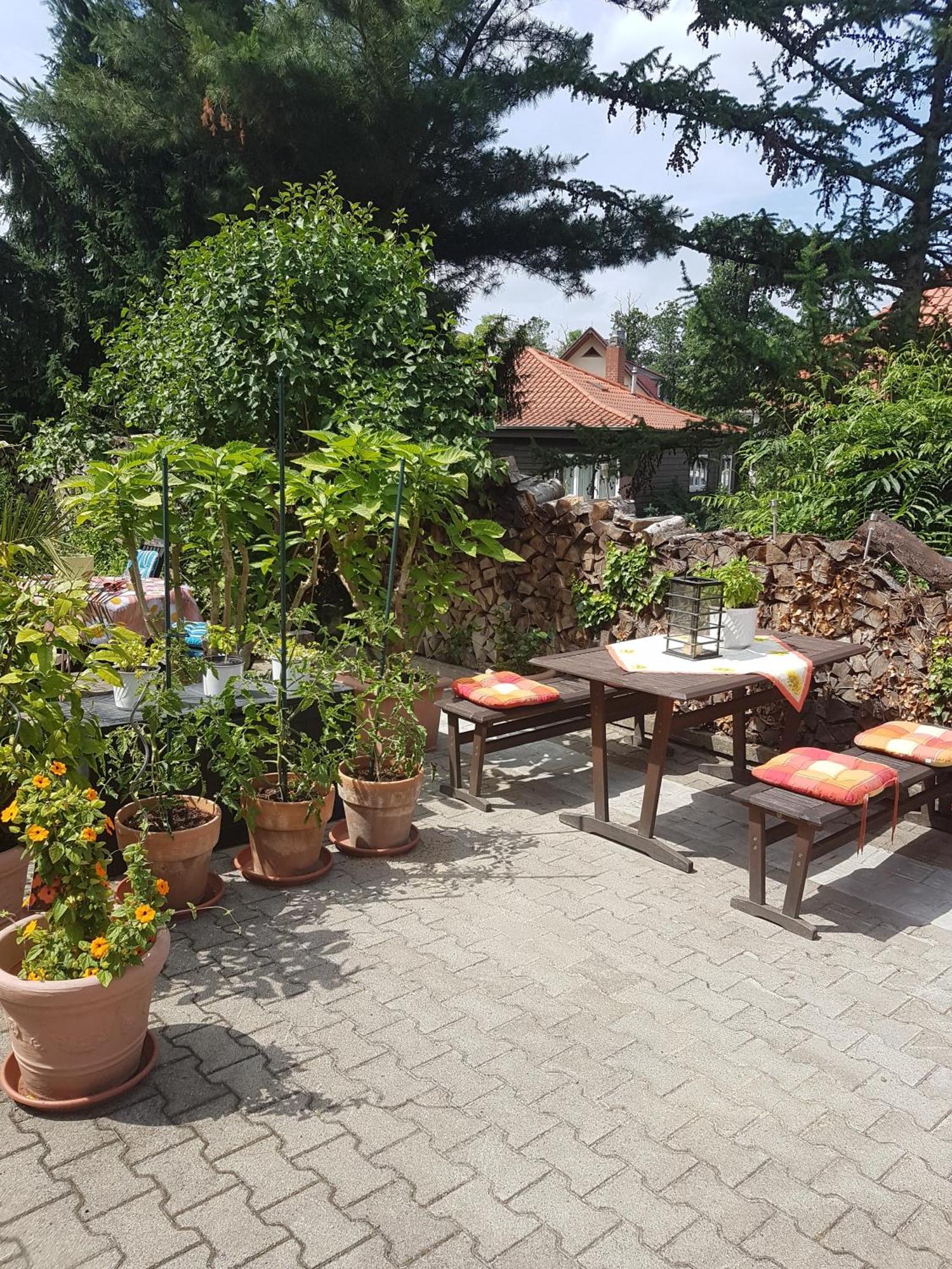 Haus Andrea Hotel Wernigerode Exterior photo